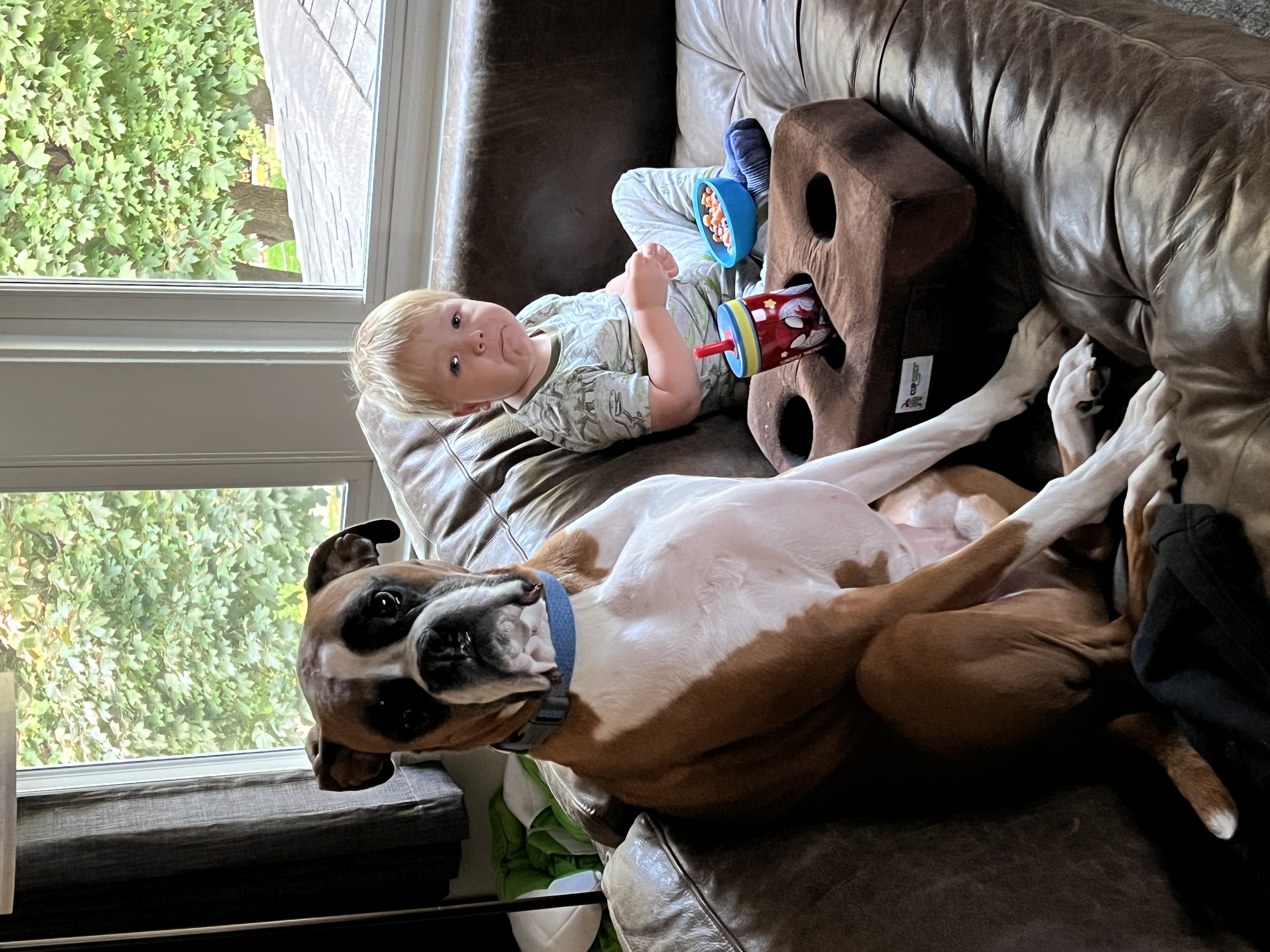 Geno sitting like a person on the couch next to Ryan